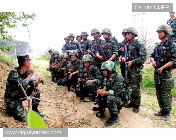 南京攀岩队中路突破战术解析与实战应用探讨