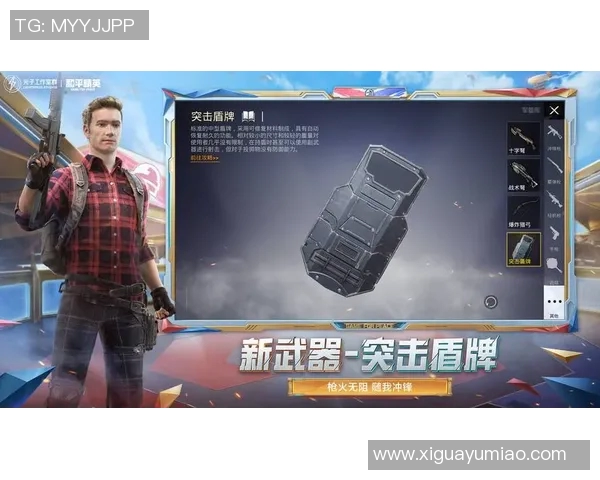 和平精英战术解析:深入探讨LNG在阵地战中的战略运用与战斗技巧