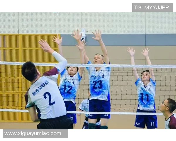 杭州排球队的速度之美探索与分析排球运动的魅力与挑战