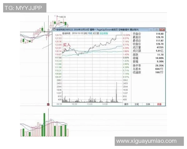 杭州羽毛球队战术解析：构建高效控制体系的策略与实践